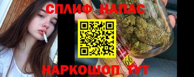 apvp Моздок