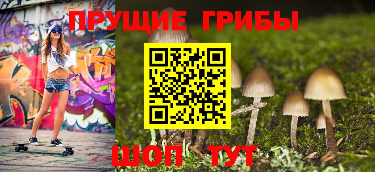 Галлюциногенные грибы GOLDEN TEACHER Армавир