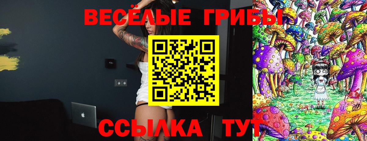 Армавир  Галлюциногенные грибы GOLDEN TEACHER  купить  цена  Вход с VPN 